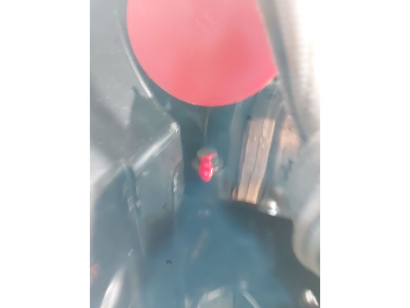 Recambio de motor completo para dacia sandero ii (b8_) 1.5 dci referencia OEM IAM K9K612  