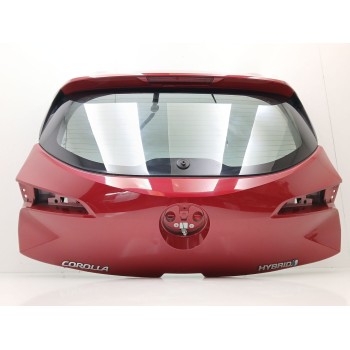 PORTON TRASERO 6700502610 