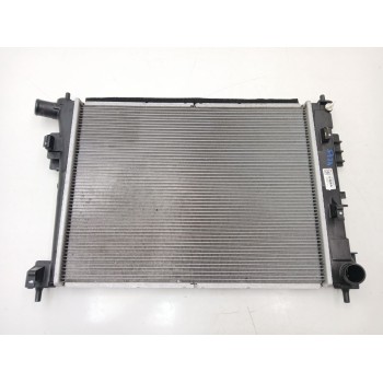 RADIADOR AGUA 25310Q0000 