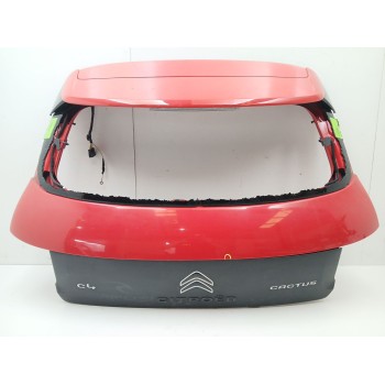 PORTON TRASERO 9800805380 