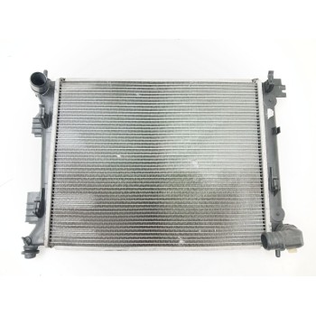 RADIADOR AGUA 253101RXXX 