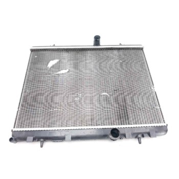 RADIADOR AGUA 9674089680 