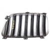 Recambio de rejilla delantera para bmw x3 (e83) xdrive 20d referencia OEM IAM 51113420088  
