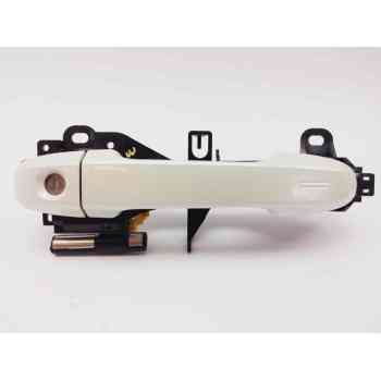 MANETA EXTERIOR DELANTERA IZQUIERDA 69202F4010 