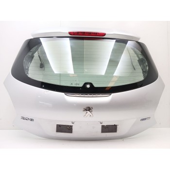 PORTON TRASERO 9672664480 