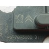 Recambio de caudalimetro para peugeot 208 ii (ub_, up_, uw_, uj_) 1.5 bluehdi 100 referencia OEM IAM 9677093080  