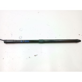 AMORTIGUADORES MALETERO / PORTON 9812129780 