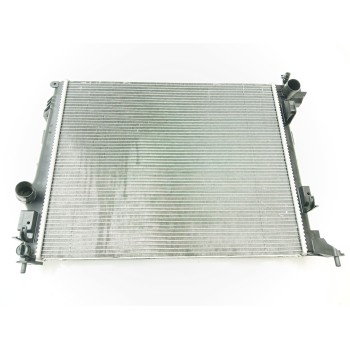 RADIADOR AGUA 214108607R 