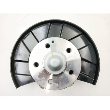 MANGUETA TRASERA IZQUIERDA 10243660 10243660l