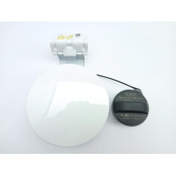 TAPA EXTERIOR COMBUSTIBLE ZS1953A0 