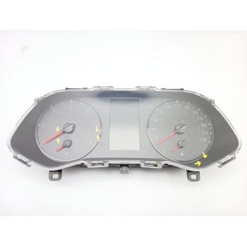 CUADRO INSTRUMENTOS 248099901R 