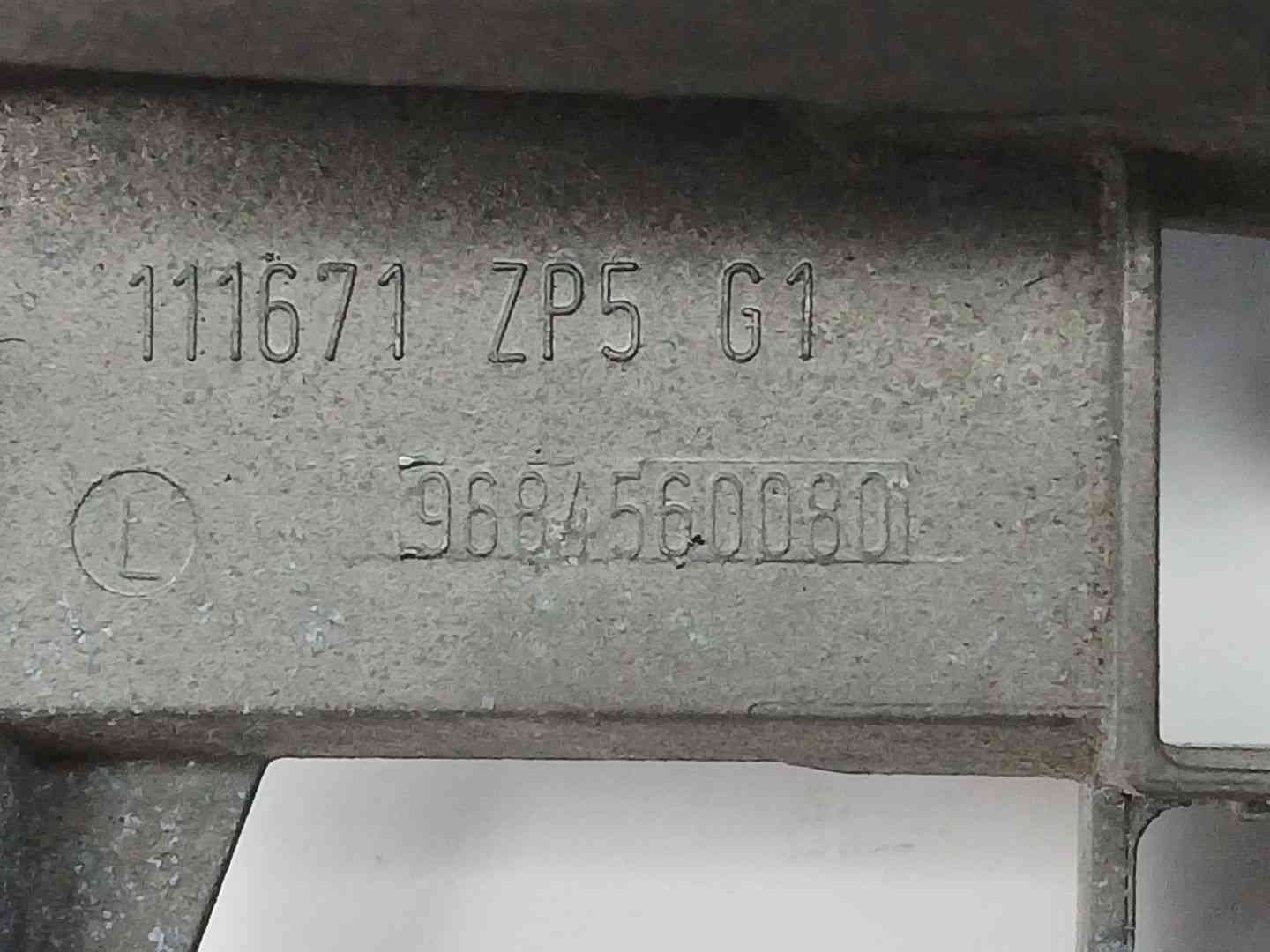MANETA EXTERIOR TRASERA IZQUIERDA CITROËN C3 II (SC_) 9684560080 9684560080 - Vista 3